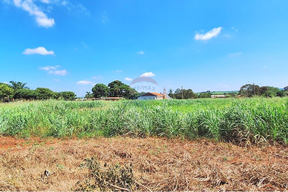 Terreno - Venda - Guatapará , São Paulo - 20250316_105652.jpg - 780261028-15