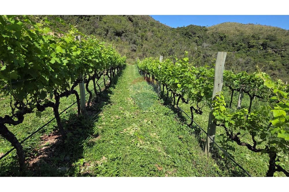 Hotel/ Pousada - Venda - São João Batista do Glória , Minas Gerais - 20250412_100908.jpg - 780251001-47