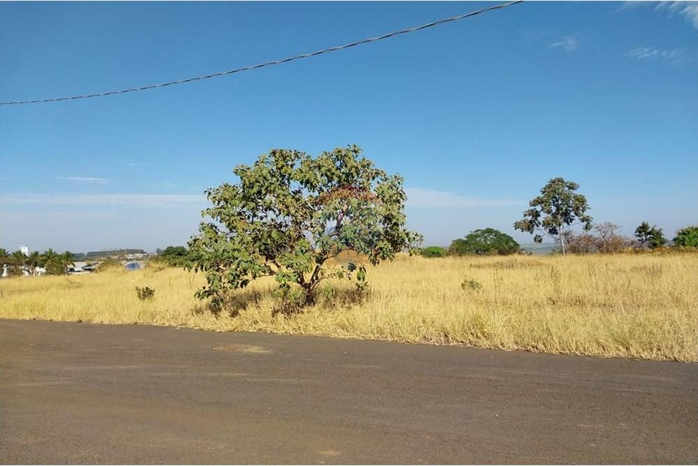 Terreno - Venda - Restinga , São Paulo - IMG-20240712-WA0009.jpg - 780231022-12