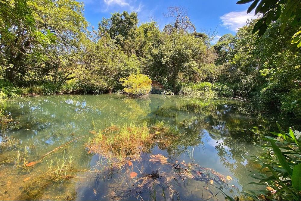 Chácara / Sítio / Fazenda - Venda - Brodowski , São Paulo - IMG-20250313-WA0093.jpg - 780131009-119