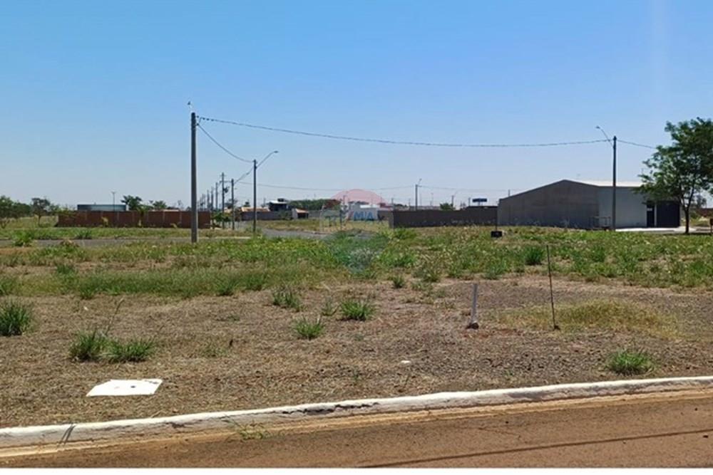 Terreno - Venda - Sertãozinho , São Paulo - IMG-20250926-WA0010.jpg - 780191023-14