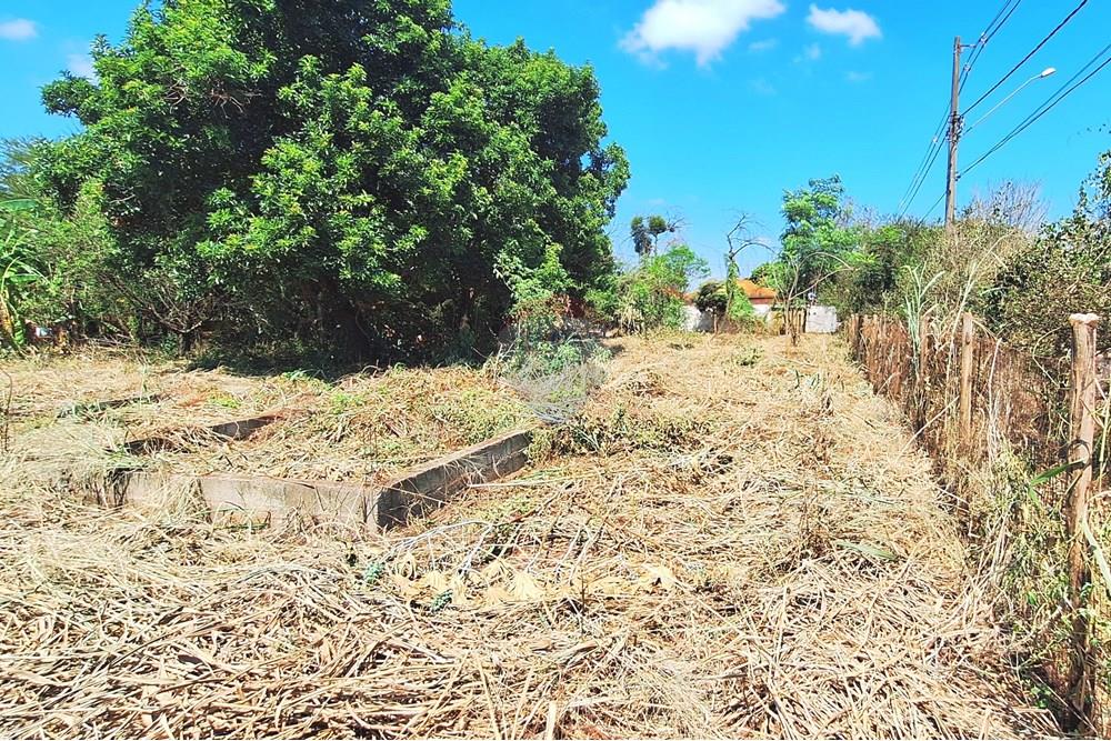 Terreno - Venda - Guatapará , São Paulo - 20250316_105815.jpg - 780261028-15