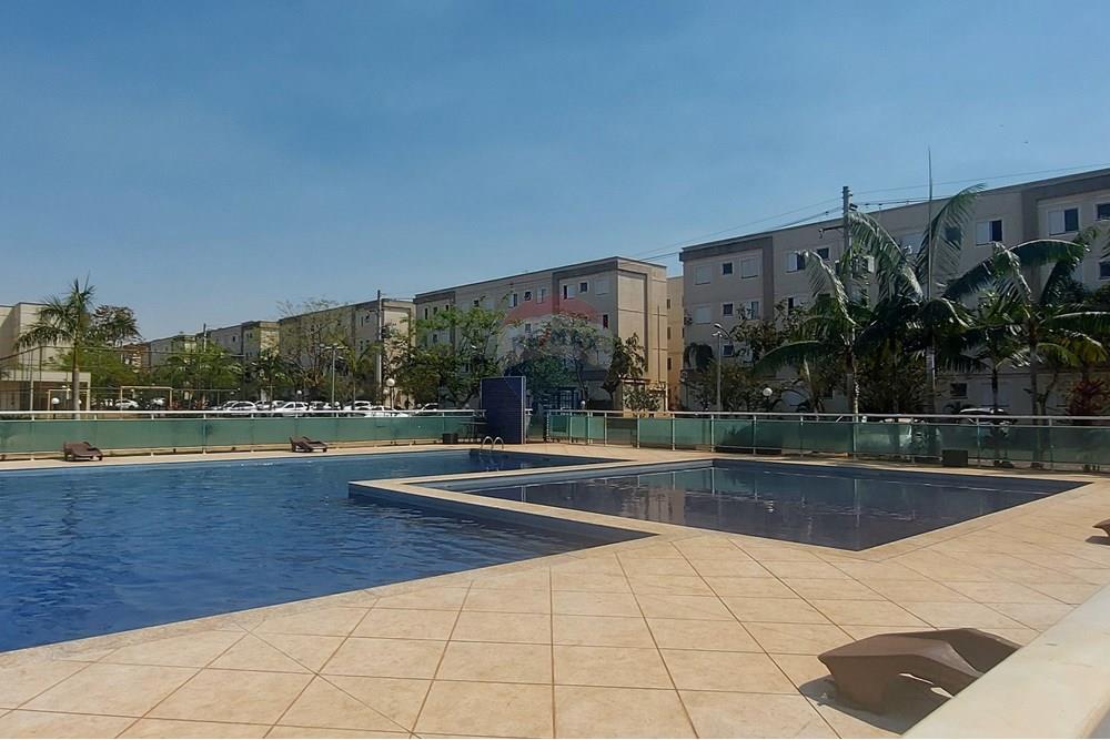 Apartamento - Alugar - Ribeirão Preto , São Paulo - 20240913_104101.jpg - 780071015-333