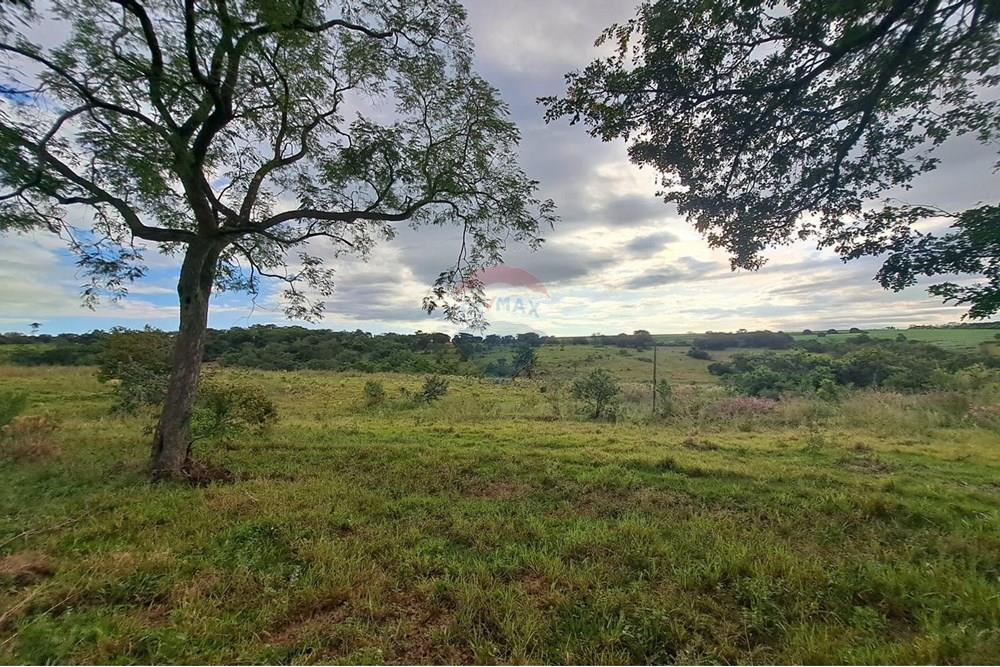 Chácara / Sítio / Fazenda - Venda - Cajuru , São Paulo - IMG-20250406-WA0108.jpg - 780171030-59