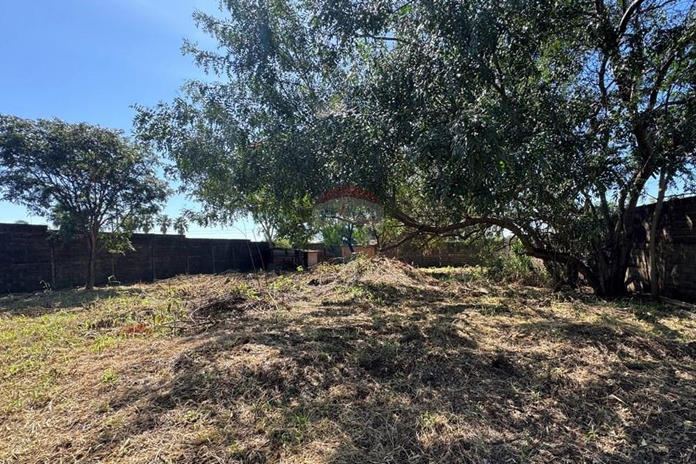 Terreno - Venda - Ribeirão Preto , São Paulo - IMG_7917.JPG - 780171042-30