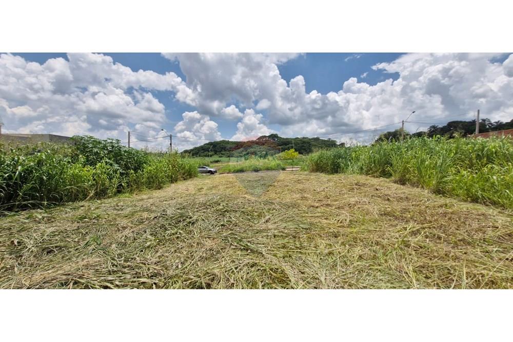 Terreno - Venda - Ribeirão Preto , São Paulo - WhatsApp Image 2025-01-13 at 18.45.44 (1).jpeg - 780181011-259