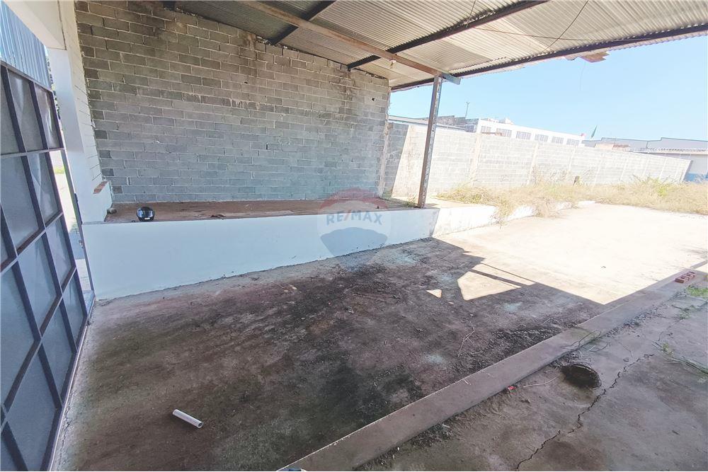 Galpão - Venda - Ribeirão Preto , São Paulo - 4 - 780181012-337