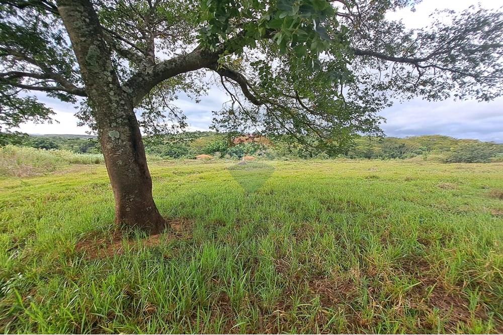 Fazenda - Venda - Cajuru , São Paulo - IMG-20250406-WA0112.jpg - 780171030-57