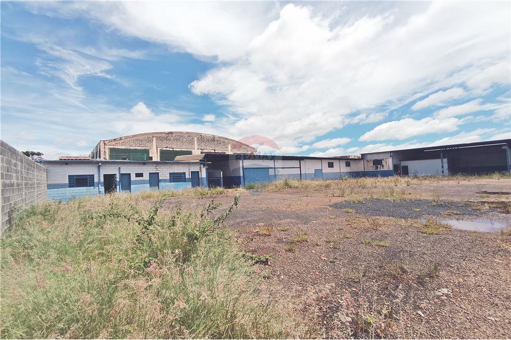 Galpão - Venda - Ribeirão Preto , São Paulo - 8 - 780181012-337