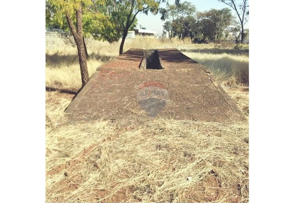 Galpão - Alugar - Ribeirão Preto , São Paulo - IMG-20250527-WA0016.jpg - 780181012-676