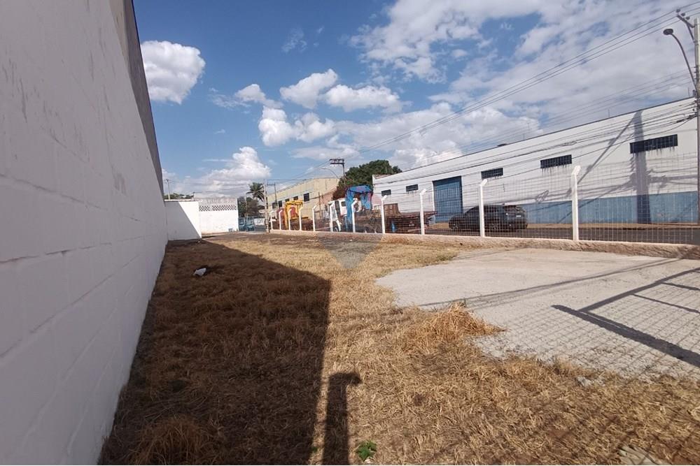 Outros - Alugar - Ribeirão Preto , São Paulo - IMG-20250812-WA0051.jpg - 780181012-753