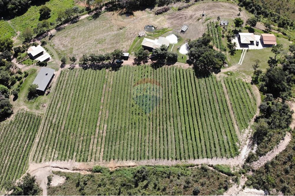 Hotel/ Pousada - Venda - São João Batista do Glória , Minas Gerais - DJI_0201.JPG - 780251001-47