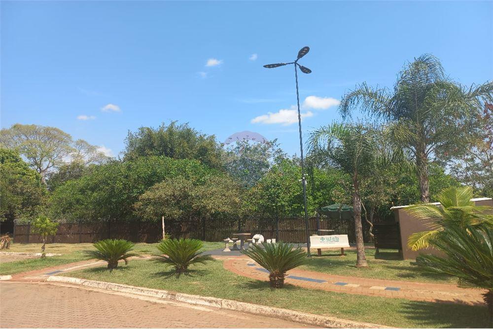 Apartamento - Alugar - Ribeirão Preto , São Paulo - 24 - 780171006-277