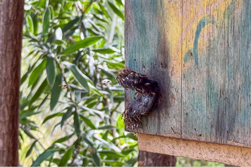 Casa de Condomínio - Venda - Ribeirão Preto , São Paulo - IMG_2658.jpg - 780201017-36