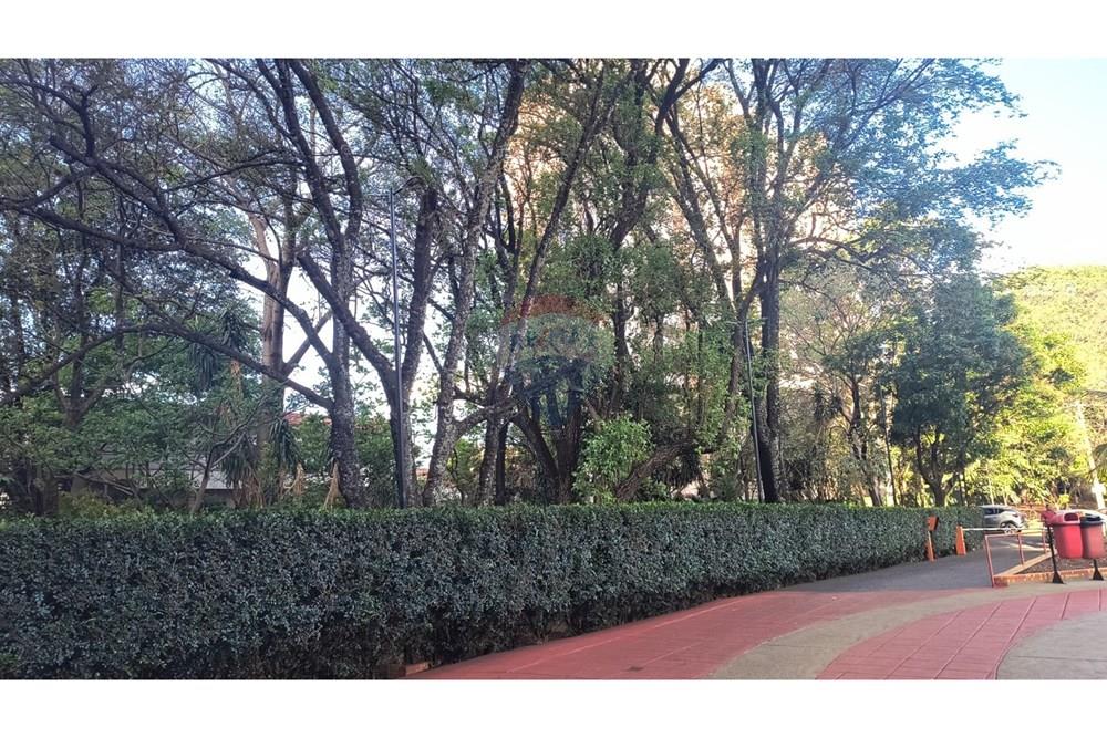 Apartamento - Venda - Ribeirão Preto , São Paulo - 94da0591-139a-43a5-a2f4-5b1cf1e76cbe.jpg - 780151006-117