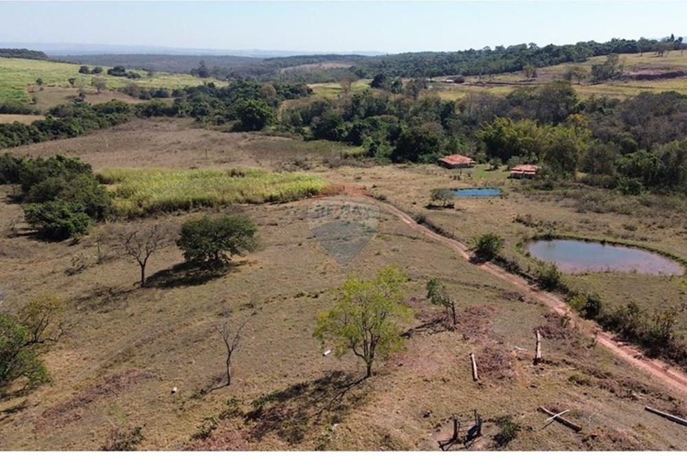 Chácara / Sítio / Fazenda - Venda - Cajuru , São Paulo - 8b9bcdde1e9b42c4913a531e597b115a.jpg - 780171030-59