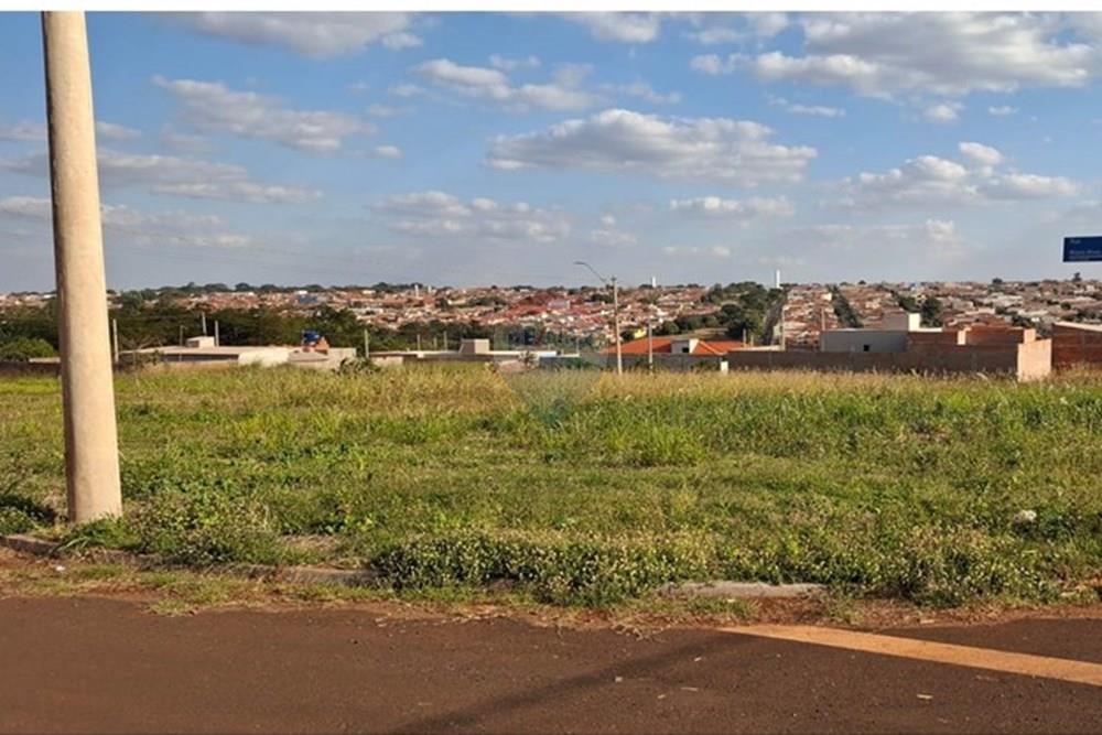 Terreno - Venda - Cravinhos , São Paulo - Imagem do WhatsApp de 2025-07-09 à(s) 15.47.38_8a64a57b.jpg - Layout aberto - 780091043-55