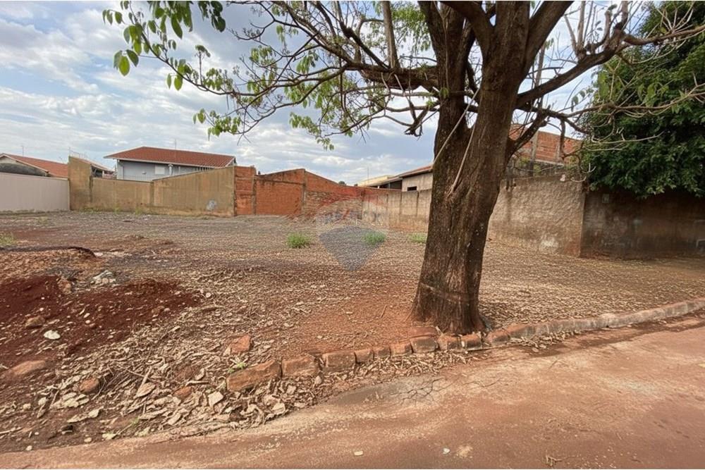 Terreno - Venda - São Joaquim da Barra , São Paulo - 4.jpg - 780301006-44