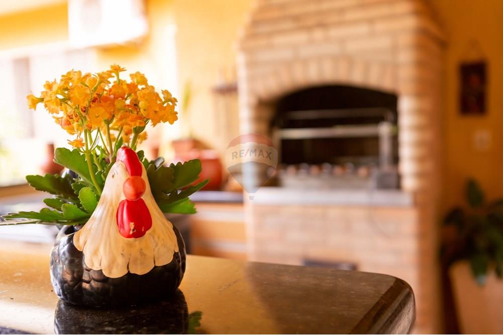 Chácara / Sítio / Fazenda - Venda - Jaboticabal , São Paulo - 371A9727.jpg - 780201029-20