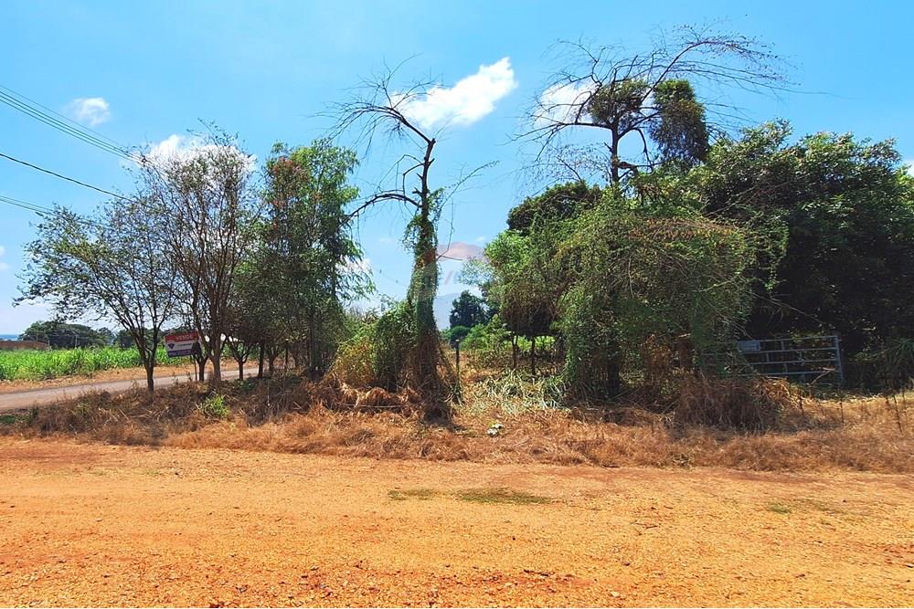 Terreno - Venda - Guatapará , São Paulo - 20250316_112447.jpg - 780261028-15