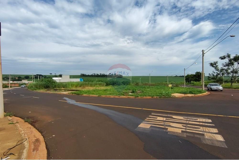 Terreno - Venda - Ribeirão Preto , São Paulo - WhatsApp Image 2025-02-14 at 12.11.35 (3).jpeg - 780201008-123