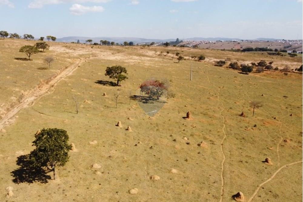 Agro - Venda - Guapé , Minas Gerais - Fazenda Guape 13.jpg - 780071051-6