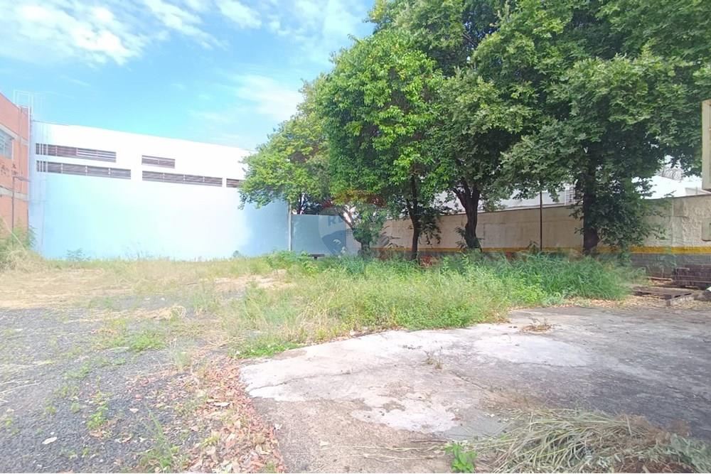 Prédio - Alugar - Ribeirão Preto , São Paulo - IMG-20250514-WA0005.jpg - 780181012-654