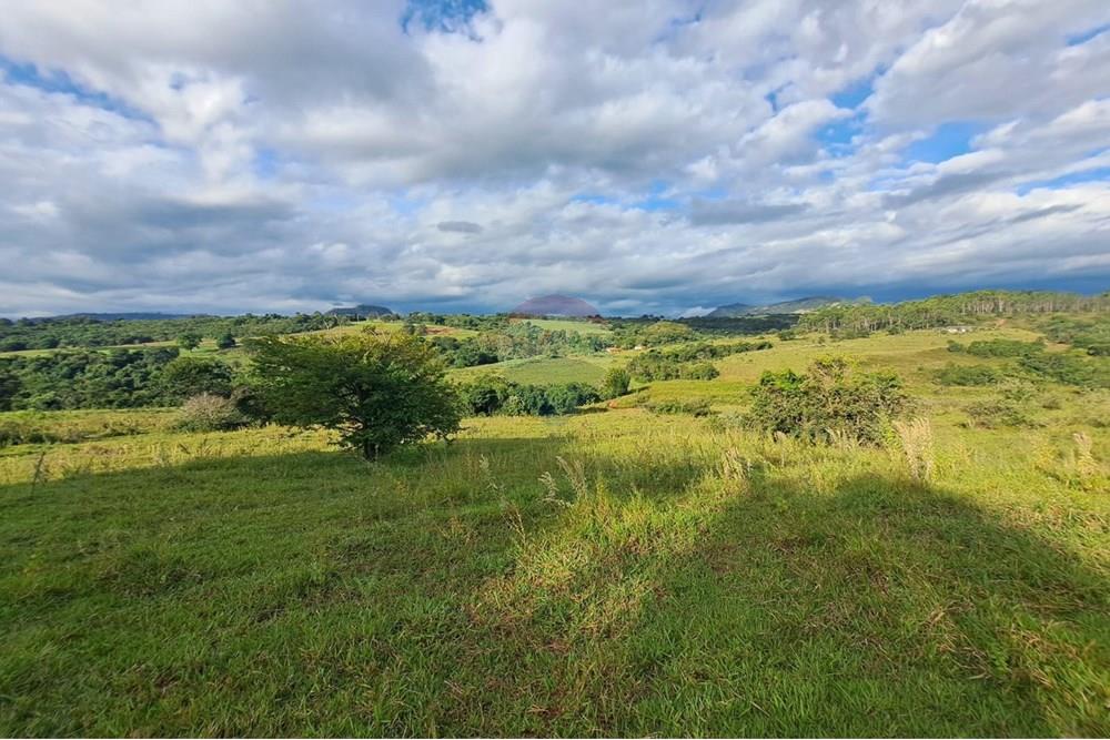 Chácara / Sítio / Fazenda - Venda - Cajuru , São Paulo - IMG-20250406-WA0165.jpg - 780171030-59