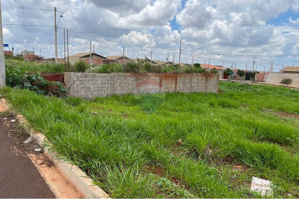 Terreno - Venda - Cravinhos , São Paulo - Terras de Carvinhos - Terreno 12.jpeg - 780271023-5