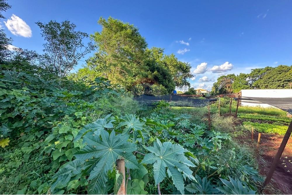 Terreno - Venda - Ribeirão Preto , São Paulo - 11.jpg - 780241010-16