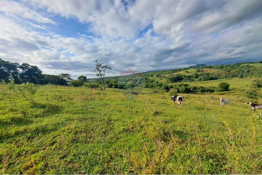 Chácara / Sítio / Fazenda - Venda - Cajuru , São Paulo - IMG-20250406-WA0167.jpg - 780171030-59
