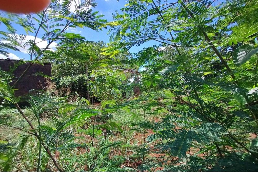 Terreno - Venda - Ribeirão Preto , São Paulo - WhatsApp Image 2025-11-04 at 14.10.31 (1).jpeg - 780181003-72