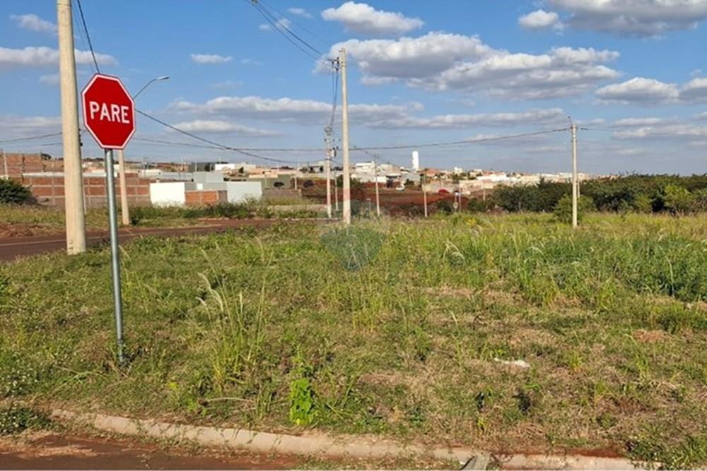 Terreno - Venda - Cravinhos , São Paulo - Imagem do WhatsApp de 2025-07-09 à(s) 15.47.39_23589c77.jpg - Layout aberto - 780091043-55