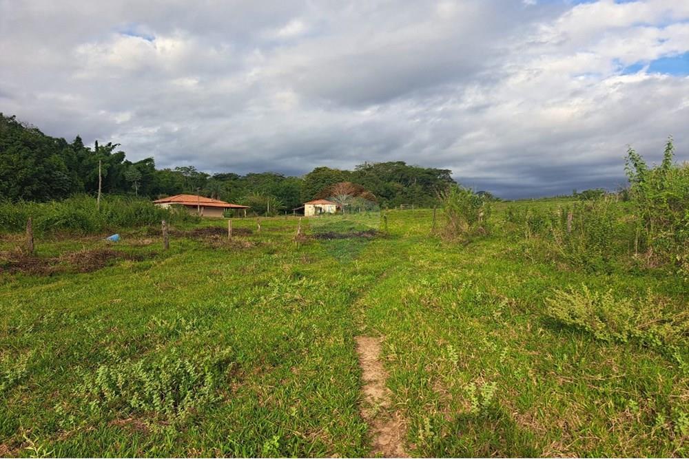 Fazenda - Venda - Cajuru , São Paulo - IMG-20250406-WA0133.jpg - 780171030-57