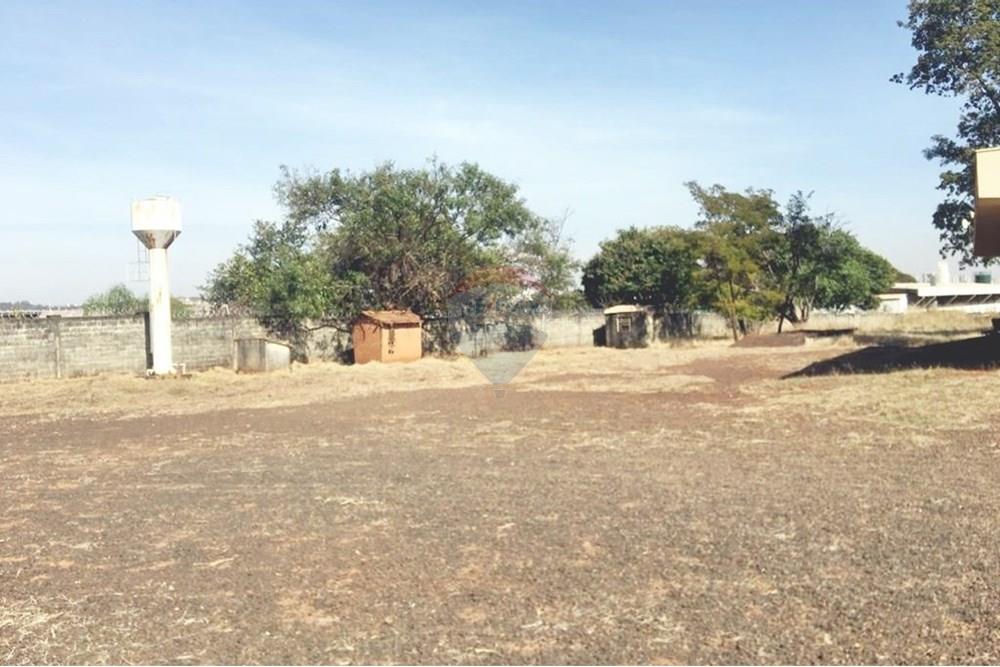 Galpão - Alugar - Ribeirão Preto , São Paulo - IMG-20250527-WA0004.jpg - 780181012-676