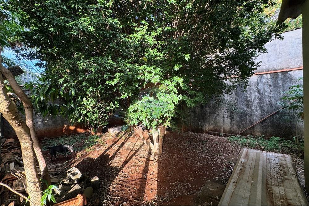 Chácara / Sítio / Fazenda - Venda - Ribeirão Preto , São Paulo - IMG_5420.JPG - 780071079-4