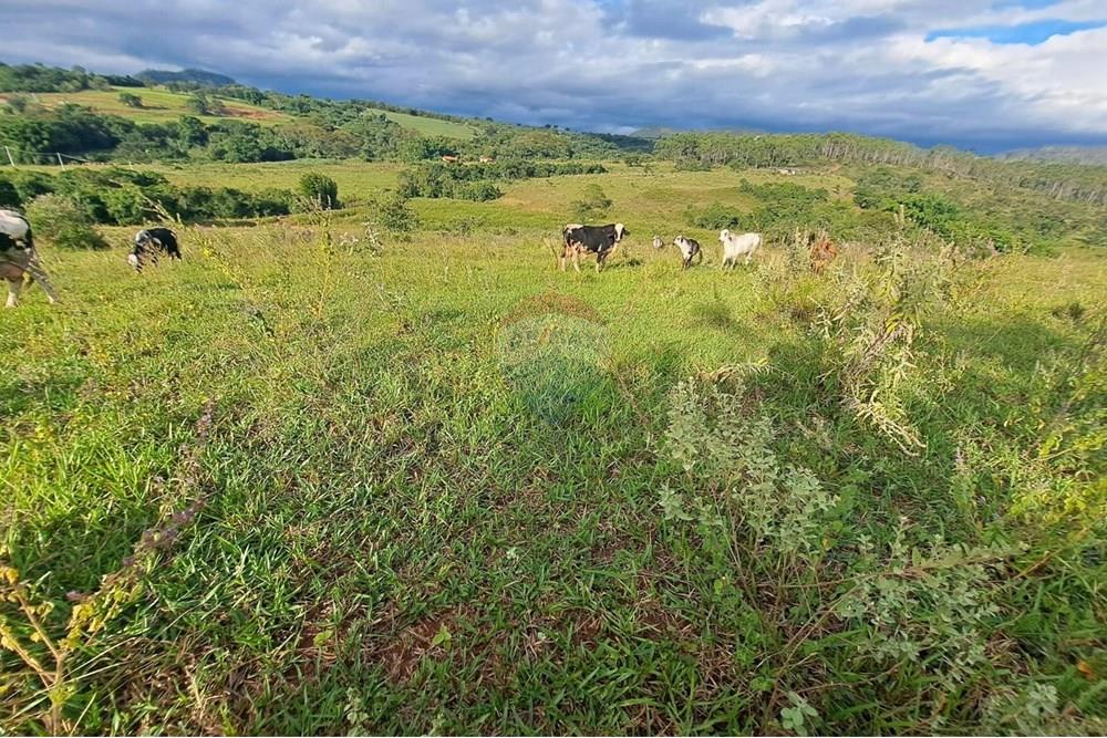 Chácara / Sítio / Fazenda - Venda - Cajuru , São Paulo - IMG-20250406-WA0171.jpg - 780171030-59