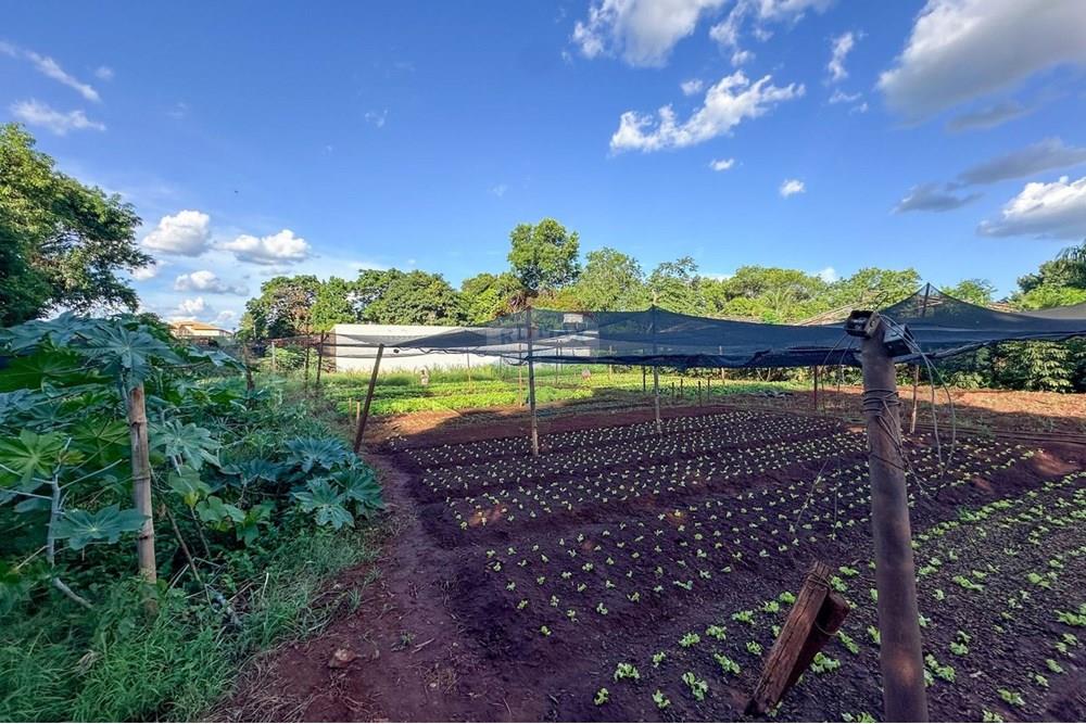 Terreno - Venda - Ribeirão Preto , São Paulo - 14.jpg - 780241010-16