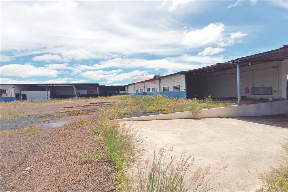 Galpão - Venda - Ribeirão Preto , São Paulo - 7 - 780181012-337