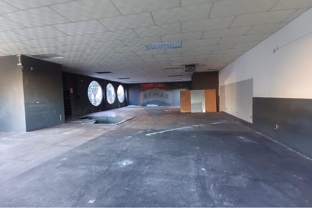 Ponto Comercial/ Loja - Alugar - Ribeirão Preto , São Paulo - IMG-20250731-WA0021.jpg - 780181012-742