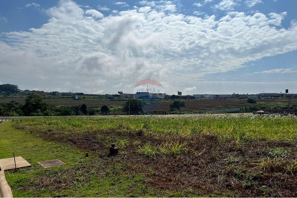 Terreno - Venda - Cravinhos , São Paulo - IMG-20240410-WA0089.jpg - 780241012-46