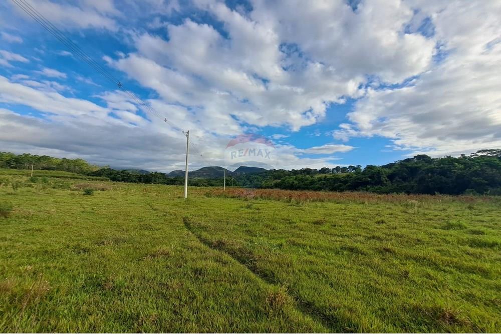 Fazenda - Venda - Cajuru , São Paulo - IMG-20250406-WA0142.jpg - 780171030-57