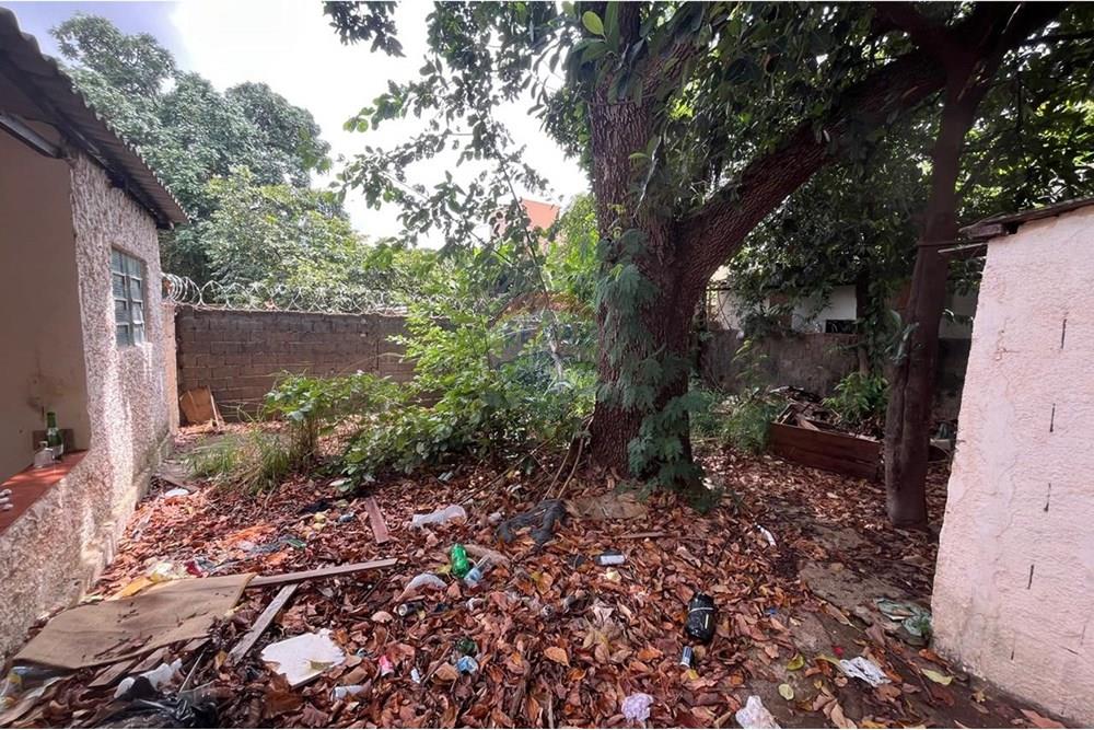 Terreno - Venda - Ribeirão Preto , São Paulo - IMG-20250325-WA0062.jpg - 780121039-1