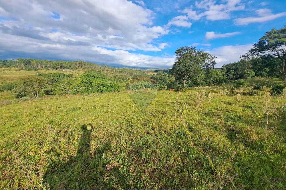 Fazenda - Venda - Cajuru , São Paulo - IMG-20250406-WA0177.jpg - 780171030-57