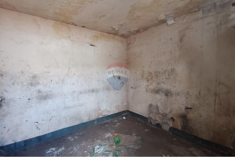 Outros - Alugar - Ribeirão Preto , São Paulo - IMG-20250812-WA0062.jpg - 780181012-753