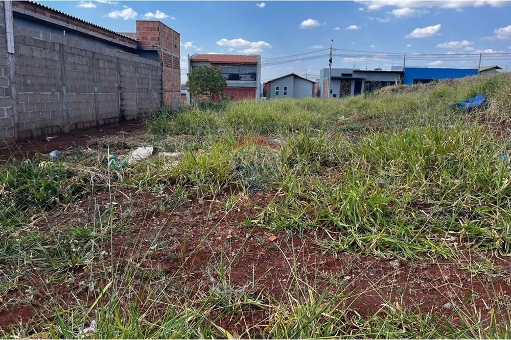 Terreno - Venda - Franca , São Paulo - WhatsApp Image 2025-08-24 at 20.56.00 (1)(1).jpeg - 780231007-92