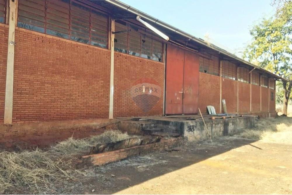 Galpão - Alugar - Ribeirão Preto , São Paulo - IMG-20250527-WA0015.jpg - 780181012-676