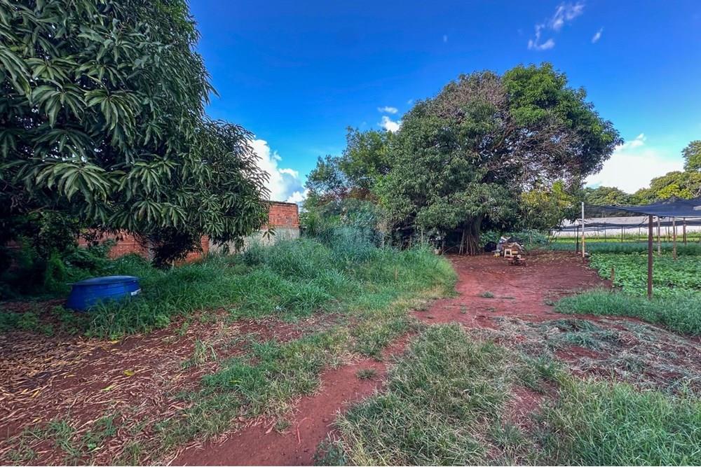 Terreno - Venda - Ribeirão Preto , São Paulo - 24.jpg - 780241010-16