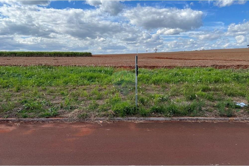 Terreno - Venda - Cravinhos , São Paulo - LOTE 03 - 07.jpeg - 780271023-17