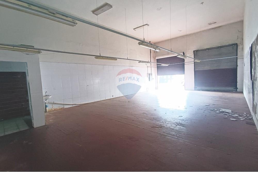 Galpão - Alugar - Ribeirão Preto , São Paulo - IMG_20250303_091120.jpg - 780181012-586